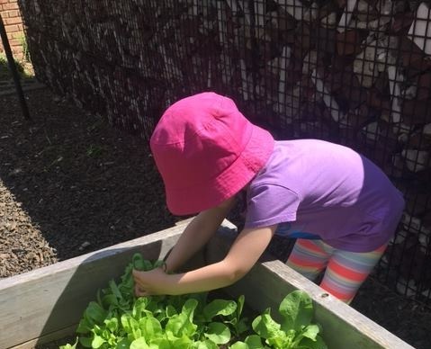 jrc-jewish-reconstructionist-congregation-early-childhood-preschool
